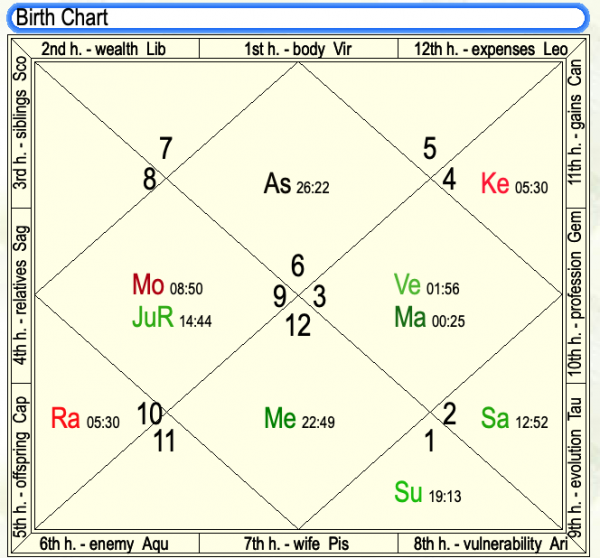 One Year Astrological Reading via Email - 20% discount